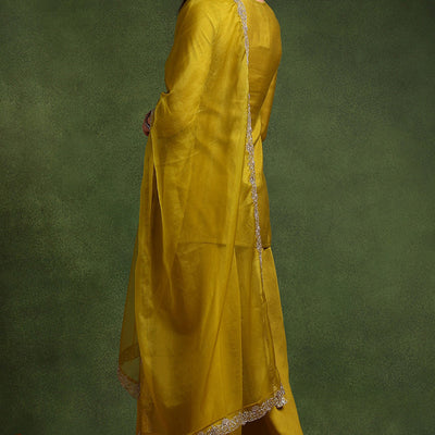 Lime Green Silk Blend Embroidered Straight Palazzo Suit Set PKSKD2609