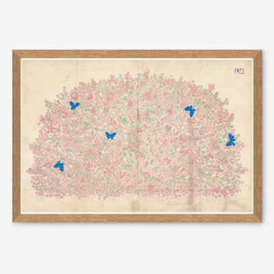Myosotis Print by Paule Marrot