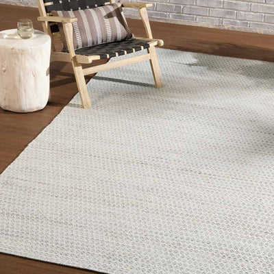 Gypsum Indoor / Outdoor Rug