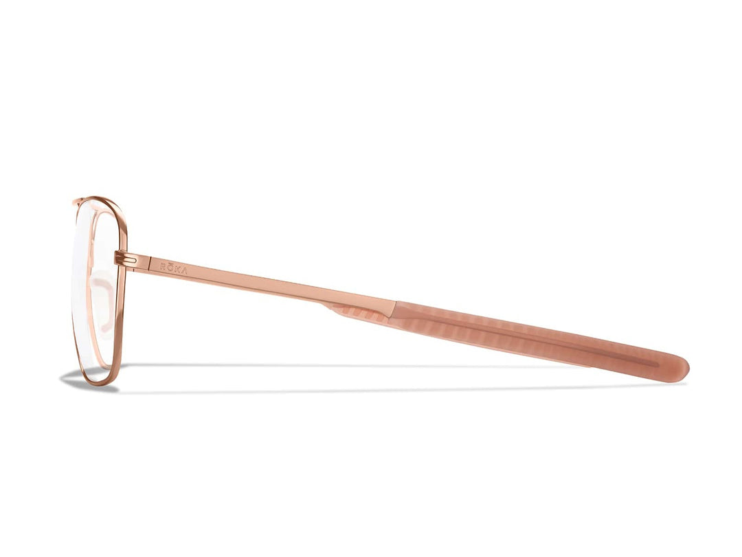 Falcon Titanium Eyeglasses