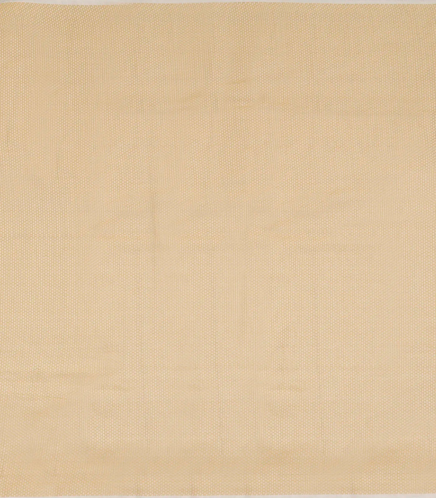 Light Blue Woven Organza Printed Saree With Floral motifs-Light Blue