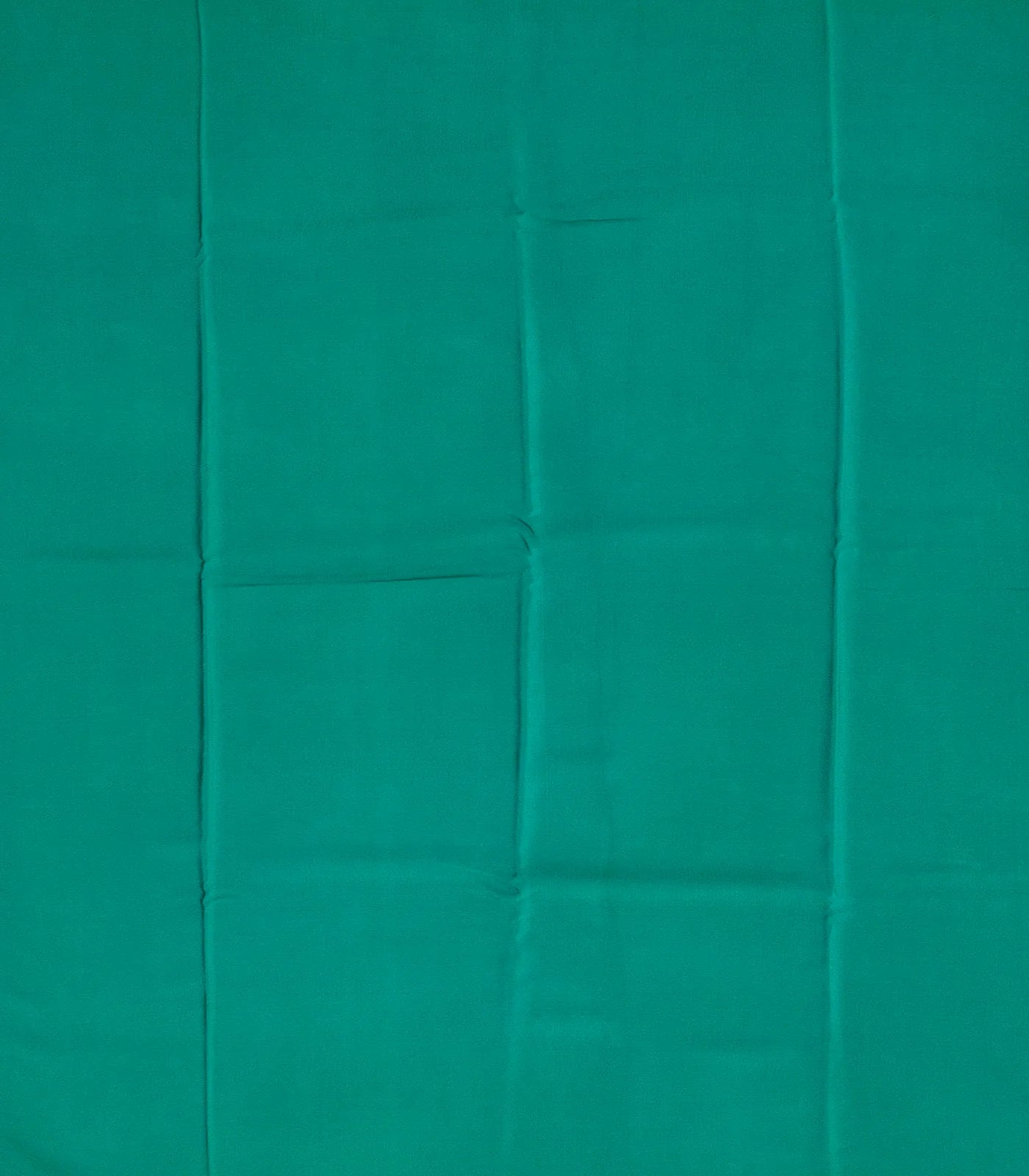 Off White Woven Chiffon Silk Saree With Printed Floral Motifs-Off White