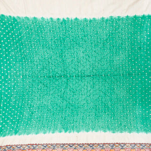 Aquamarine Handwoven Bandhani Silk Saree With Printed Pallu-Aquamarine