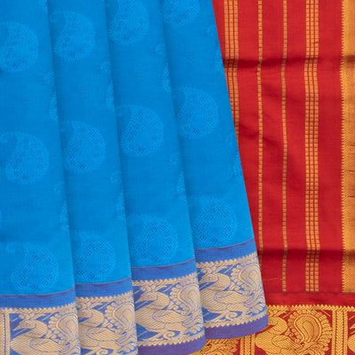 Sky Blue Handloom Poly Cotton Saree With Mango Motifs-Sky Blue