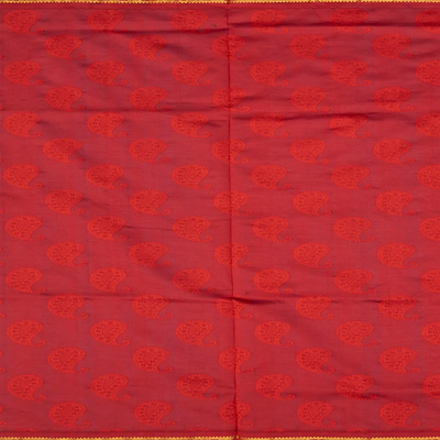 Sky Blue Handloom Poly Cotton Saree With Mango Motifs-Sky Blue