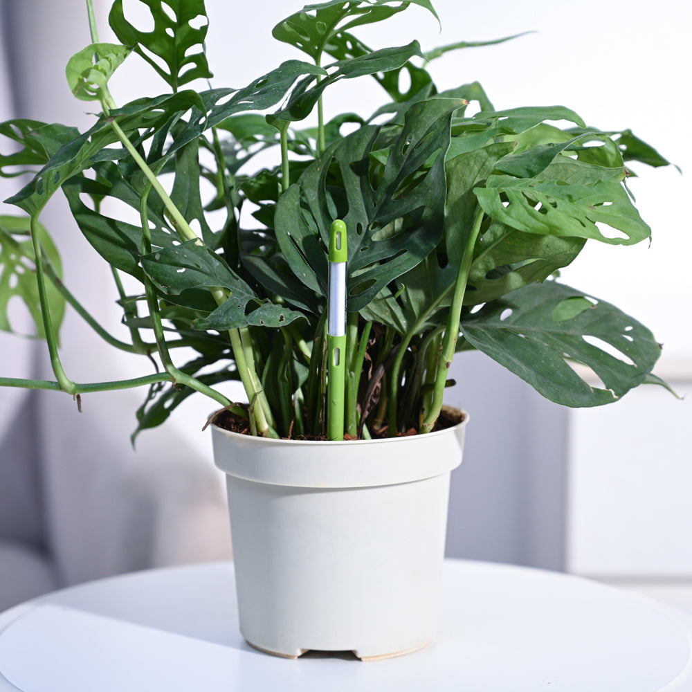 Sustee Watermeter (Set of 3)