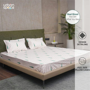 Fitted King Size Cotton Bedsheet - Pinewood- Peach Green