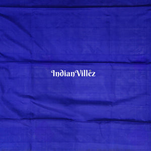 Sky Blue Venkatagiri Silk Pattu Saree