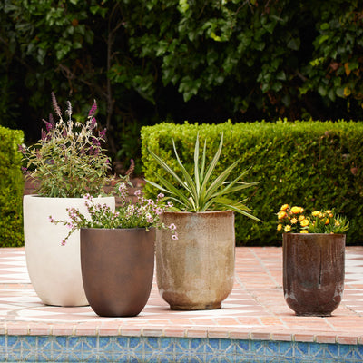 Bradford Planters by Campania International