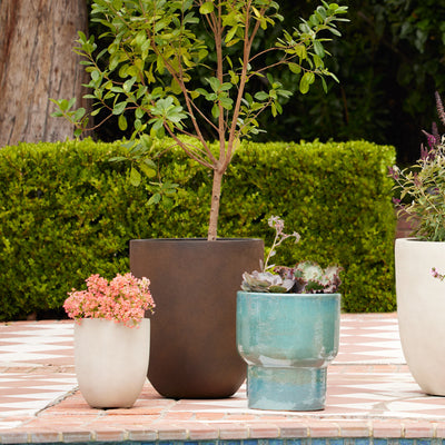 Bradford Planters by Campania International
