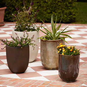 Bradford Planters by Campania International