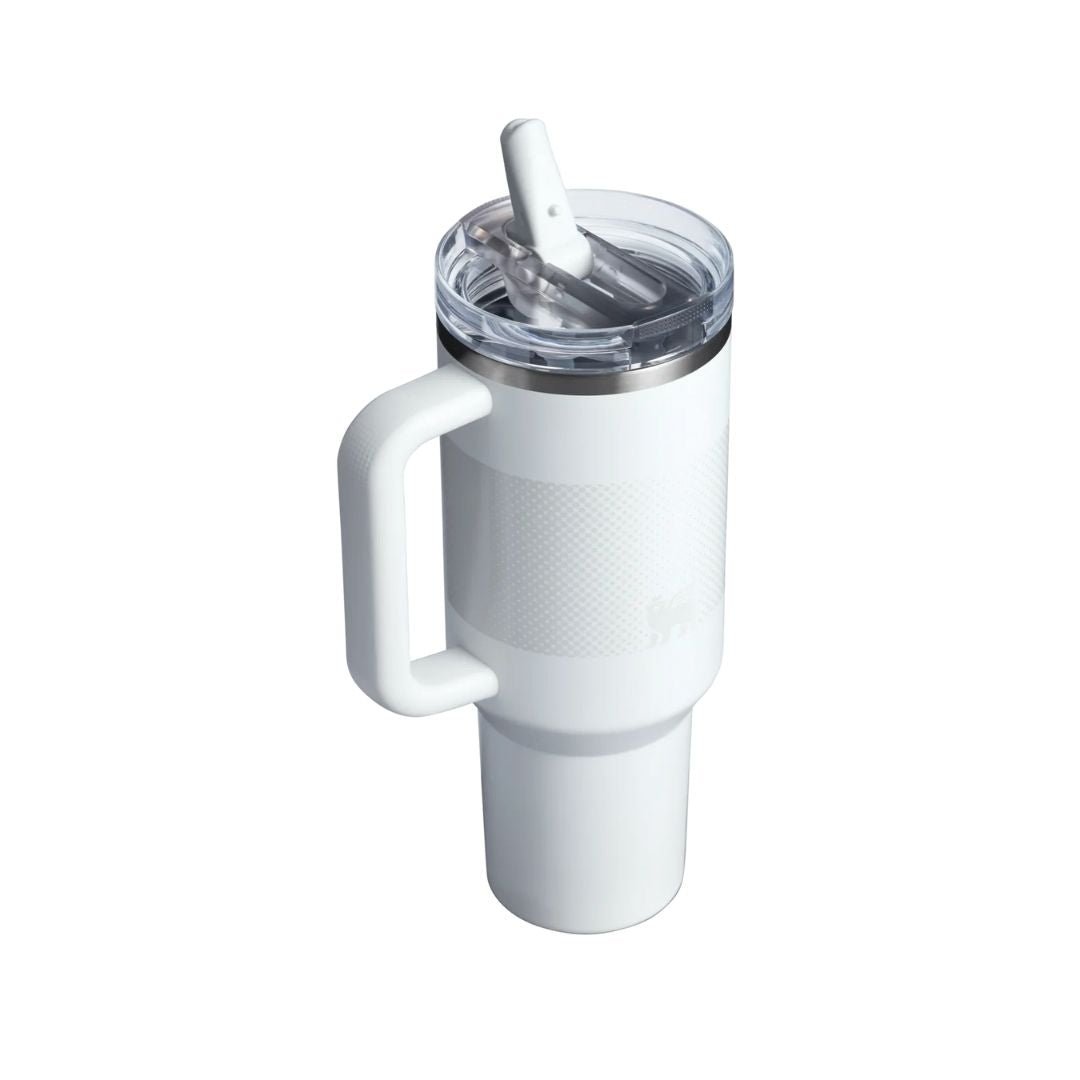 Stanley Quencher ProTour Flip Straw Tumbler | 40 OZ Frost Fade