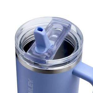 Stanley Quencher ProTour Flip Straw Tumbler | 40 OZ Hydrangea