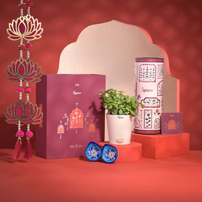 Prosperity Diwali Gift Hamper