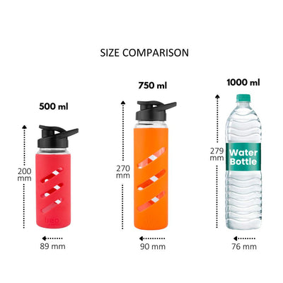 Proteger Glass Bottle (Treo by Milton)