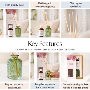 Set Of 3 Midnight Bloom Reed Diffuser