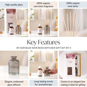 Ebony Spice Reed Diffuser Gift Set Of 3