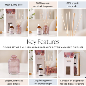 Set Of 3 Musked Aura Fragrance Bottle And Reed Diffuser
