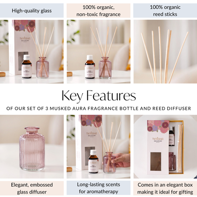 Set Of 3 Musked Aura Fragrance Bottle And Reed Diffuser