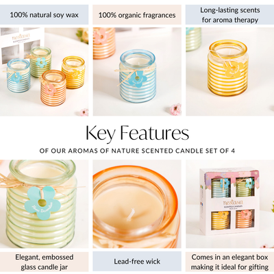 Aromas Of Nature Scented Candle Gift Set Of 4
