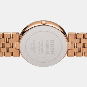 Florence Women Quartz Brown Dial Analog Stainless Steel Watch R48889743
