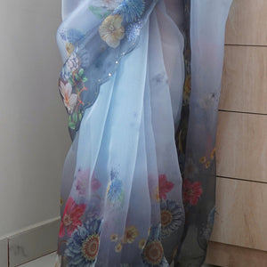 Coin Grey Organza Saree