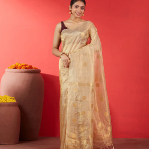 Beige Blended Tussar Tissue Saree With Coin Buttas-Beige