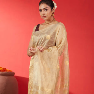 Beige Blended Tussar Tissue Saree With Coin Buttas-Beige