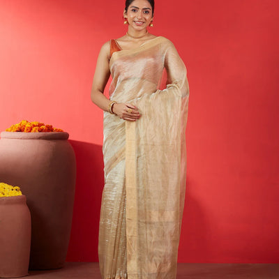 Taupe Blended Tussar Tissue Saree With Zari Border-Taupe
