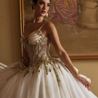 Sleeveless Quinceanera Dress by Rachel Allan RQ1158