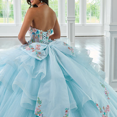 Long Sleeve Quinceanera Dress by Rachel Allan RQ1161