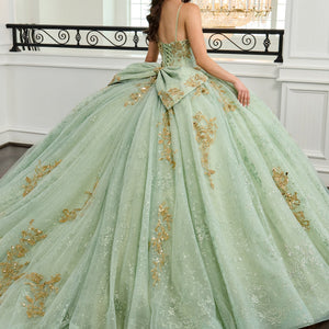 Sleeveless Quinceanera Dress by Rachel Allan RQ2221