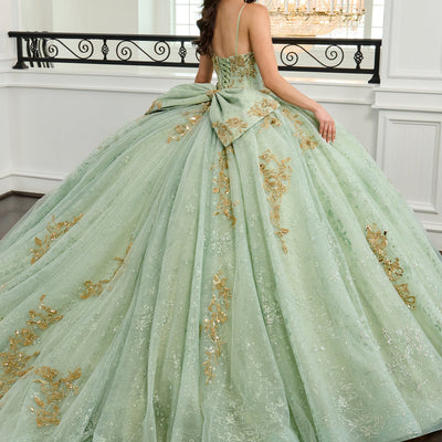 Sleeveless Quinceanera Dress by Rachel Allan RQ2221