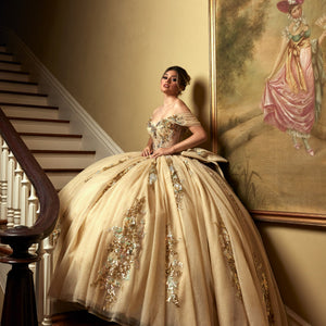 Sheer Corset Quinceanera Dress by Rachel Allan RQ2224