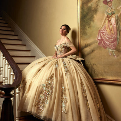 Sheer Corset Quinceanera Dress by Rachel Allan RQ2224