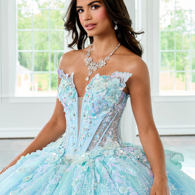 3D Butterflies Quinceanera Dress by Rachel Allan RQ3149