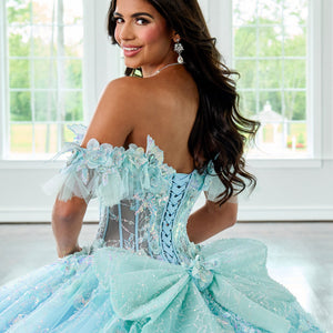 3D Butterflies Quinceanera Dress by Rachel Allan RQ3149