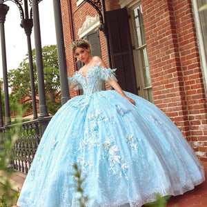 3D Butterflies Quinceanera Dress by Rachel Allan RQ3149