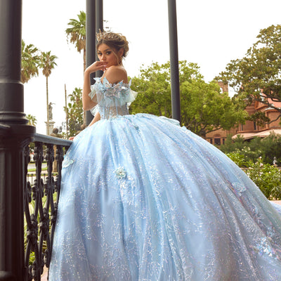 3D Butterflies Quinceanera Dress by Rachel Allan RQ3149