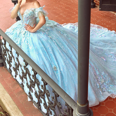3D Butterflies Quinceanera Dress by Rachel Allan RQ3149