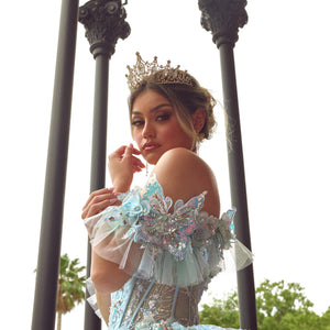 3D Butterflies Quinceanera Dress by Rachel Allan RQ3149