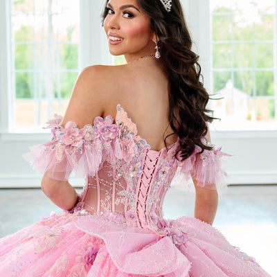 3D Butterflies Quinceanera Dress by Rachel Allan RQ3149
