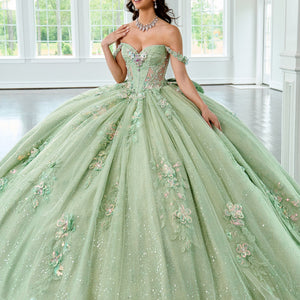 Off Shoulder Quinceanera Dress by Rachel Allan RQ3154