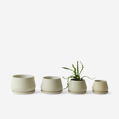 Rancho Ceramic Indoor / Outdoor Planter by LBE Design