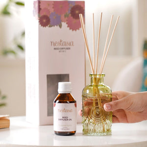 Cypress Spice Fragrance Jar And Reed Diffuser Set Of 3
