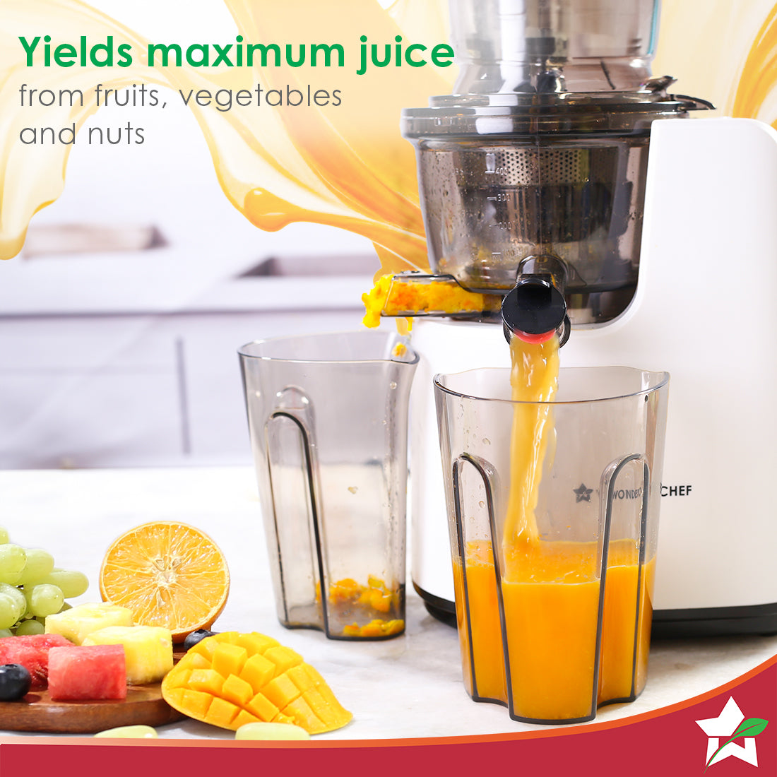 Regenta Full Fruit Juicer | Professional Cold Press | High Juice Yield