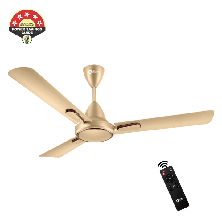 1200MM Hector Deco BLDC Ceiling Fan with Remote