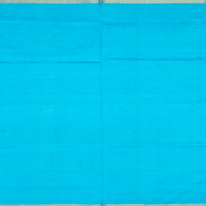 Cyan Handloom Silk Cotton Saree With Checks & Buttas-Cyan