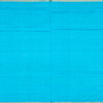 Cyan Handloom Silk Cotton Saree With Checks & Buttas-Cyan