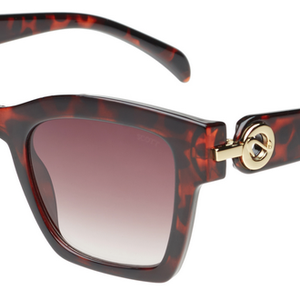 SCOTT SC3165 RHODES C2 50 SUNGLASSES